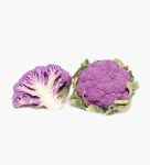 violet-cauliflower