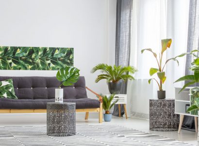 How To Repot Your Houseplant